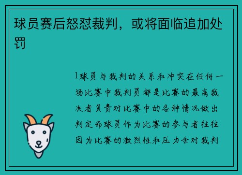 球员赛后怒怼裁判，或将面临追加处罚
